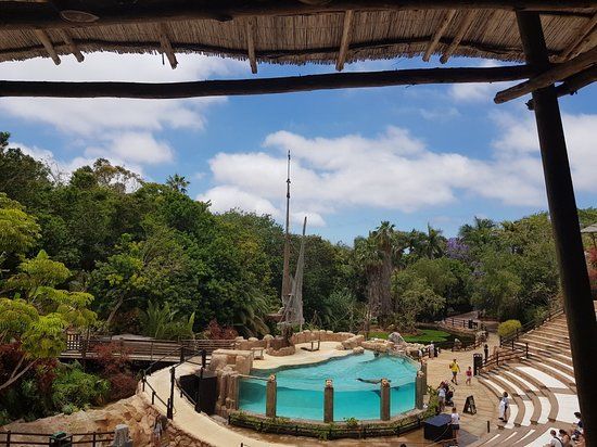 Las Águilas-Jungle Park